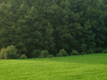 프로젝트 1 이미지 1