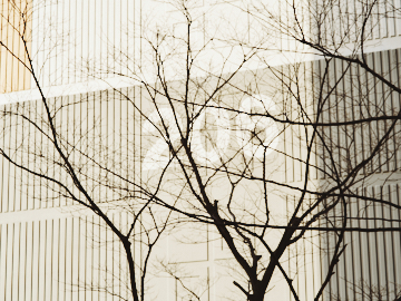 프로젝트 1 이미지 3