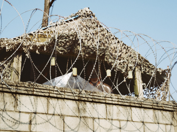 프로젝트 1 이미지 4