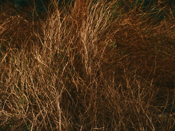 프로젝트 1 이미지 5