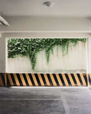 프로젝트 1 이미지 10